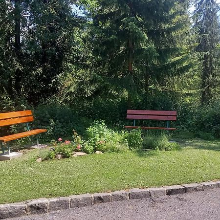 Golem Tatranska Strba Apartment Екстериор снимка